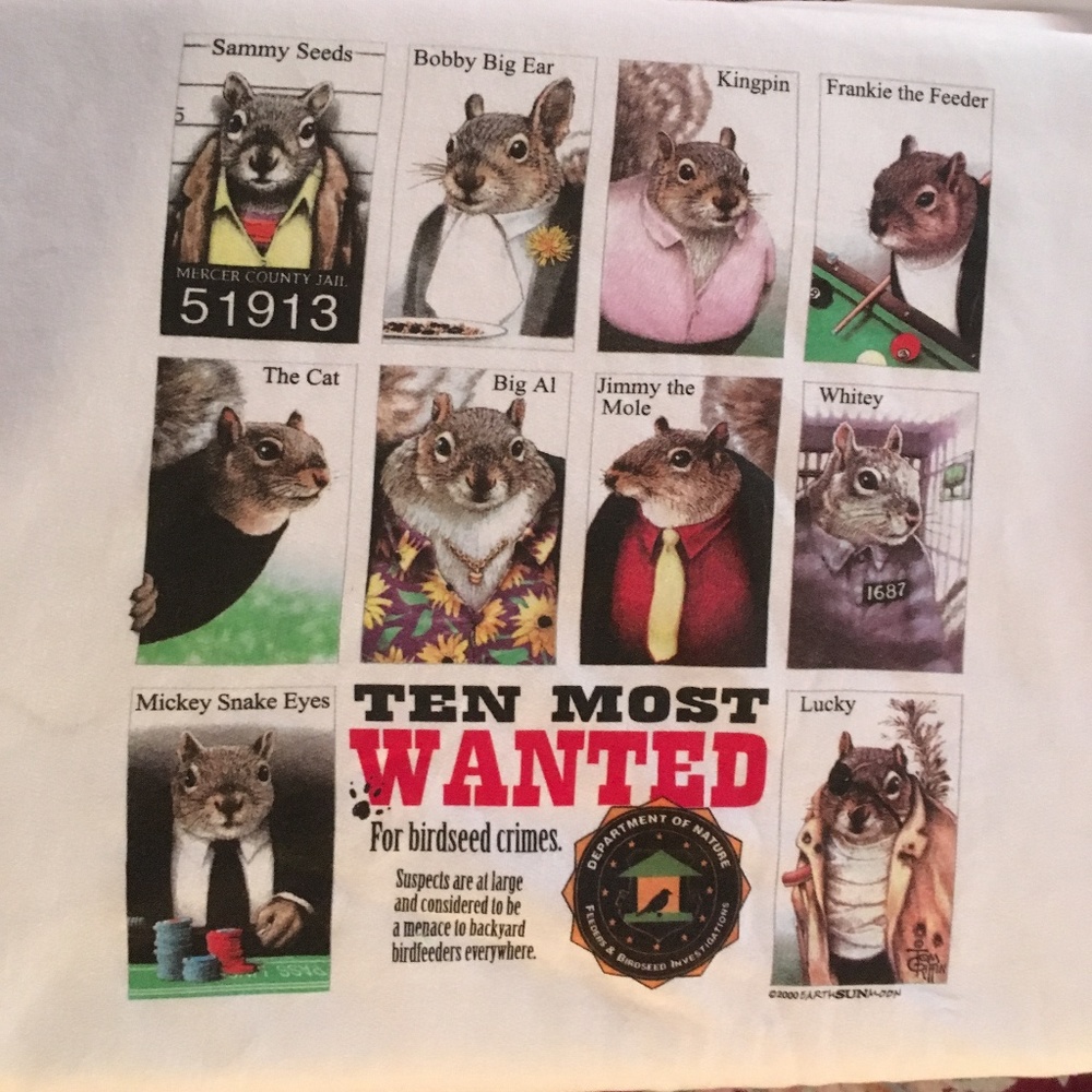 Ten Most Wanted Squirrels for birdseed crimes